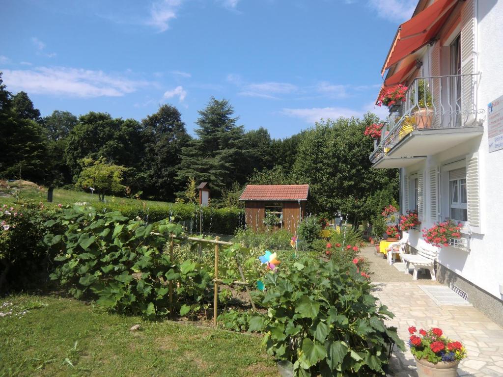 Haus Marija M Otel Badenweiler Dış mekan fotoğraf