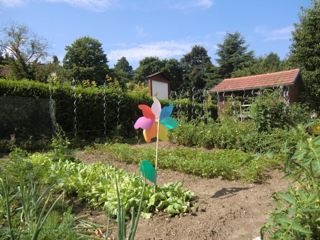 Haus Marija M Otel Badenweiler Dış mekan fotoğraf