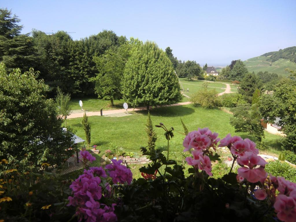 Haus Marija M Otel Badenweiler Dış mekan fotoğraf